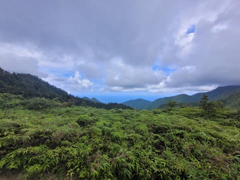 Tim's & Mag's Home Stay Vacation rental in Dominica