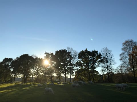 Natural landscape, Sunset