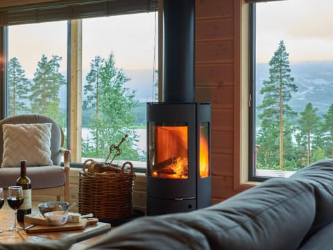 Living room, Seating area, Mountain view, fireplace