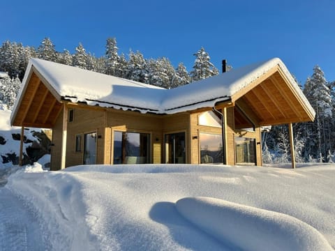 Property building, Winter