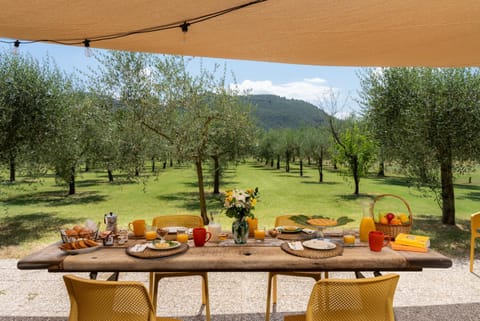 Day, Natural landscape, Dining area, Garden view