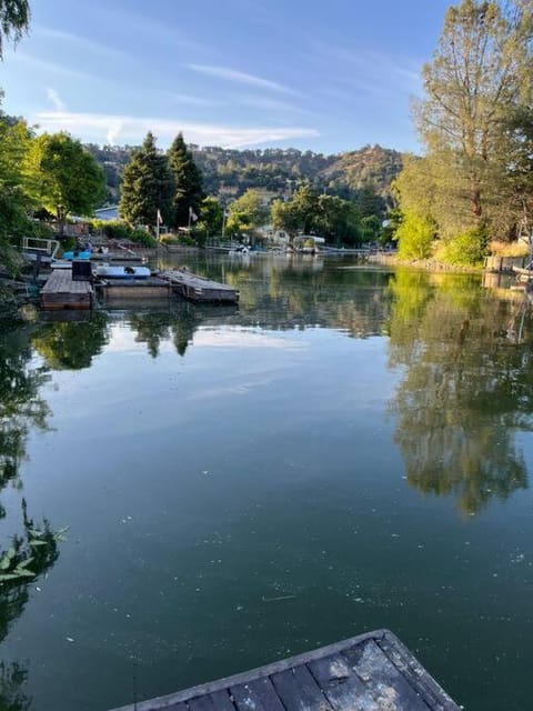 Lake view