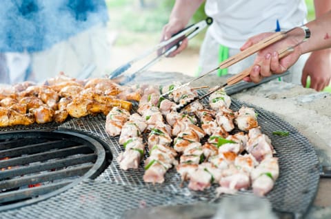 People, BBQ facilities, Food, Meals, group of guests