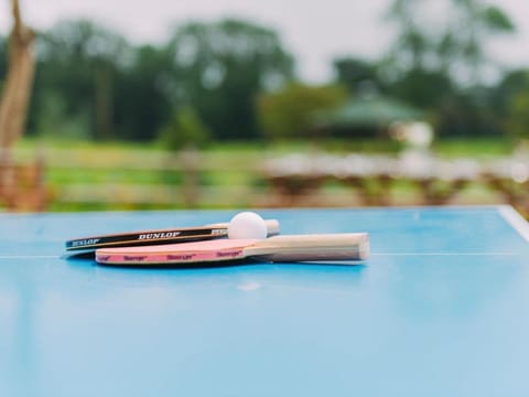 Table tennis