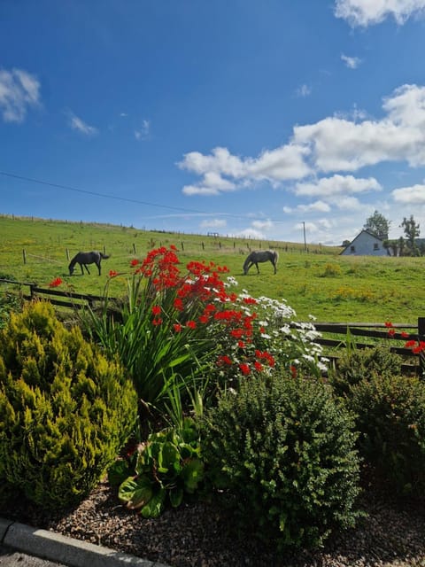 Drummonds House Country House in County Sligo