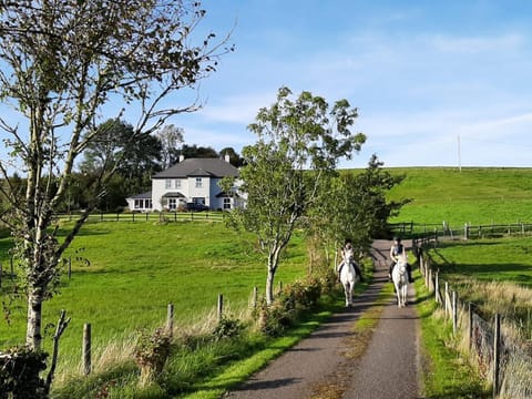 Natural landscape, Garden view