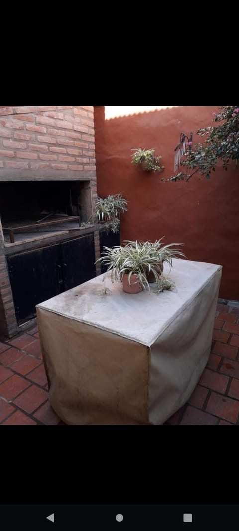 Patio, Garden view, flat iron