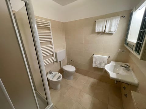 Shower, Toilet, Bathroom, bidet