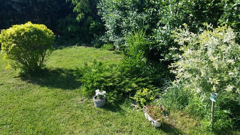 Garden, Garden view