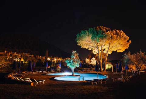 Night, Garden, Garden view, Swimming pool