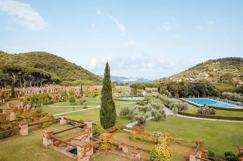 Garden, Garden view, Swimming pool