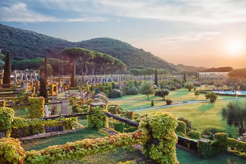 Natural landscape, Garden view, Mountain view, Sunset