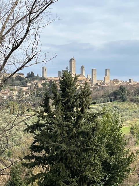 Landmark view