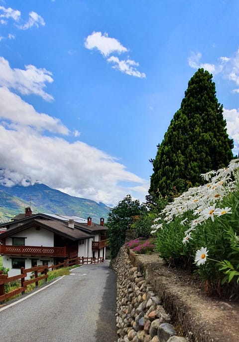 Chèvres à Cheval - Apartment Apartment in Aosta Valley, Italy