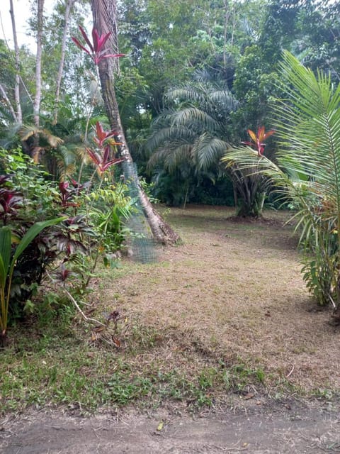 JUNGLE HOUSE House in French Guiana