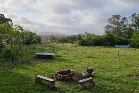 Natural landscape, Garden view, Mountain view