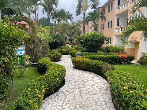 Garden view