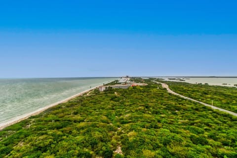 Temporada B-81 House in State of Yucatan