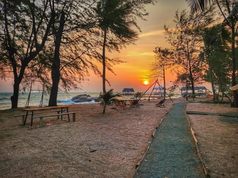 Natural landscape, Beach, Sunset