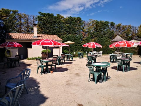 BBQ facilities, Area and facilities