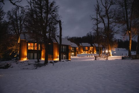 RentUp - Las mejores vistas de San Martin, Volcan Lanin Chapelco y Lago Lacar House in Neuquén Province, Argentina