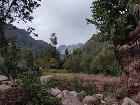 Chullpa's House House in Urubamba