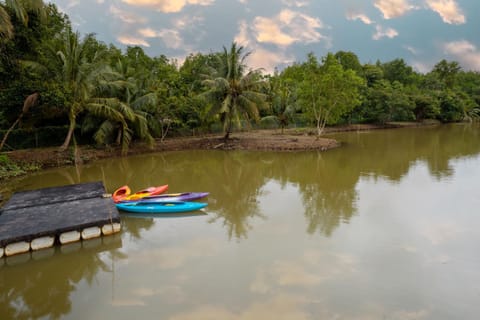 Activities, Lake view