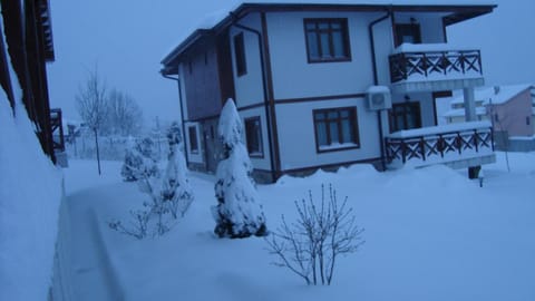 Property building, Winter