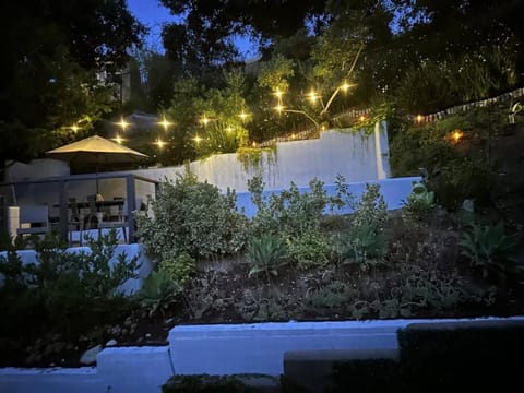 Night, Garden view