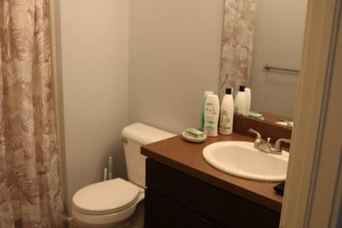 Athens city townhouse, 3 bedroom, 2.5 baths, Wi-Fi Apartment in Ohio