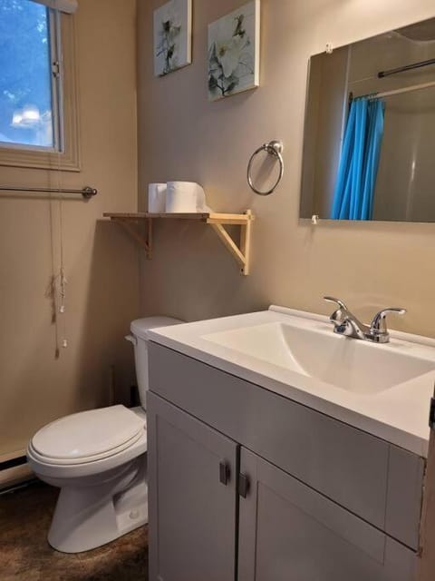 Birch Cabin: Lakefront Hideaway Resort - 3 bedroom Condo in Kawartha Lakes