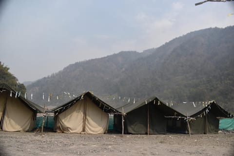 Wild Leaf Camps Camping /
Complejo de autocaravanas in Rishikesh