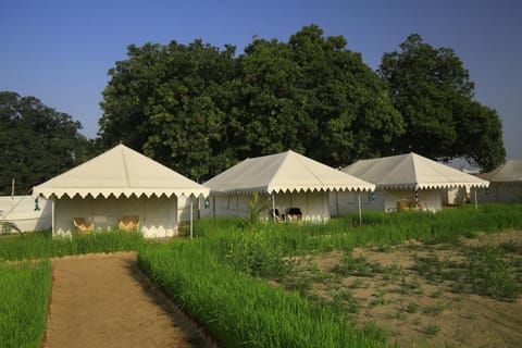 Camp OM Luxury tent in New Delhi