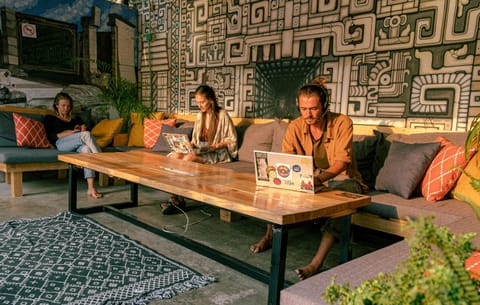 People, Garden, Seating area, group of guests, sunbed