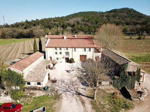 Gîte Vert d'olive au milieu des vignes. Château Les Apiès Apartment in Vidauban