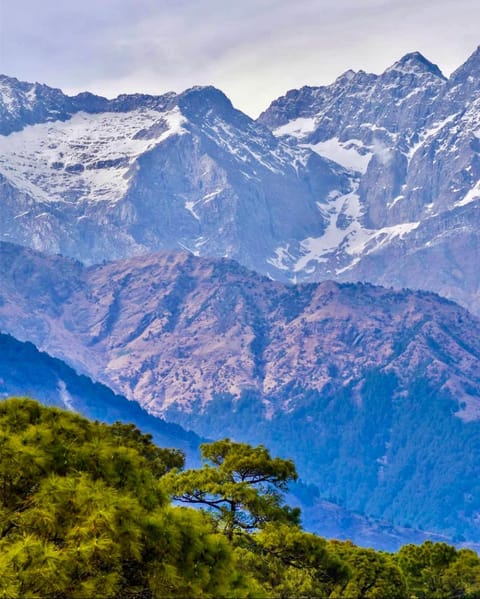 Snow Biscuit Villa Condo in Himachal Pradesh