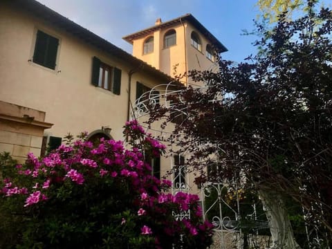 Property building, Garden view