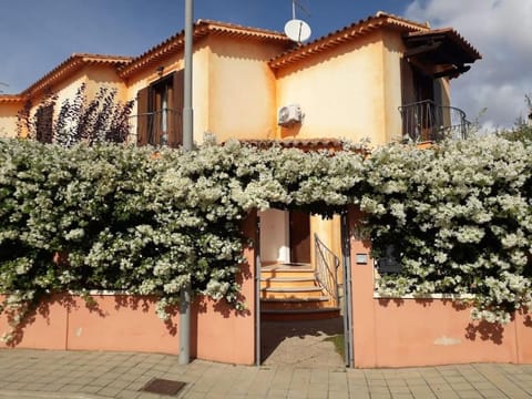 Property building, Spring, Day, View (from property/room), Garden view