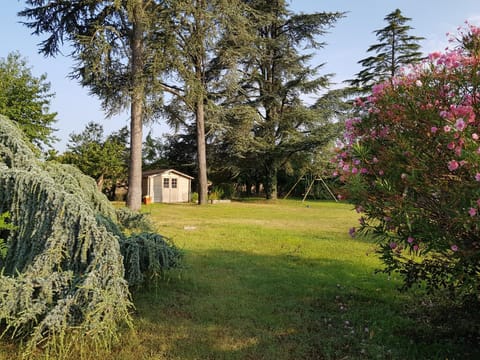 Natural landscape, Children play ground, Garden, Garden view