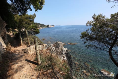 VILLA DE LUXE au CALANQUE du CAP BRUN Apartment in Toulon