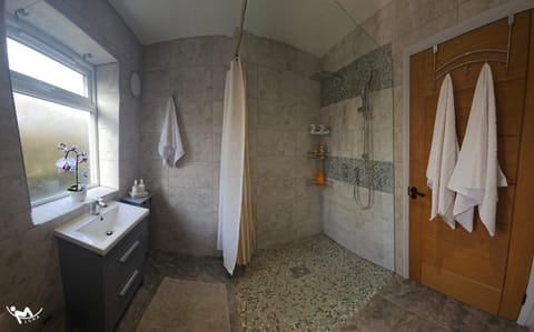 Shower, Toilet, Spa and wellness centre/facilities, Decorative detail, towels