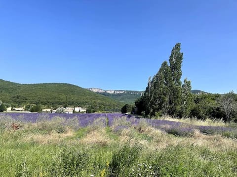 Natural landscape, Hiking