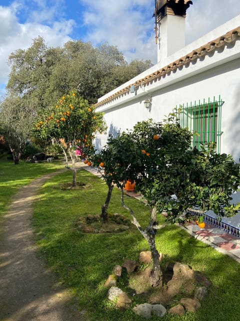 Casa Isabela House in La Janda