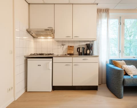 Kitchen or kitchenette, kitchen