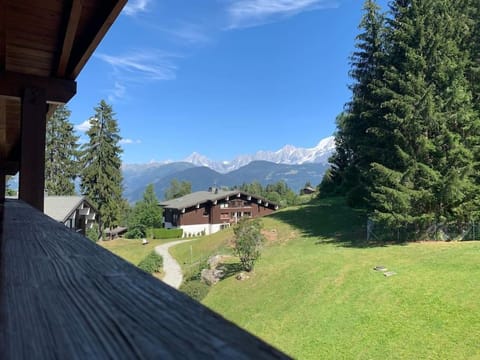 Chalet le Daim appartement 6 pers Vue Mont-Blanc Apartment in Combloux