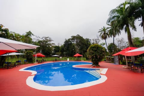 Day, Garden, Swimming pool