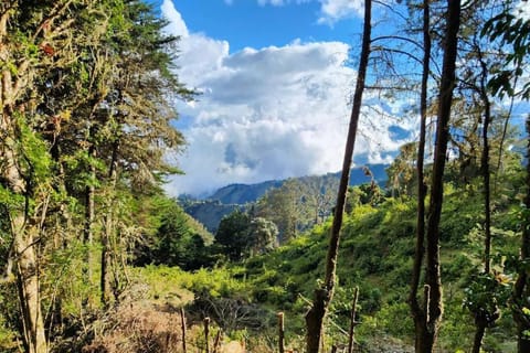 Natural landscape, Mountain view