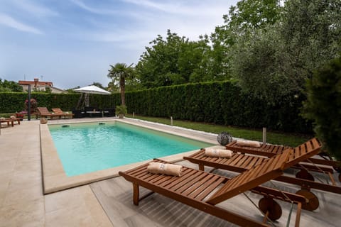 Beautiful villa Dani with panoramic view in Vizina Villa in Istria County