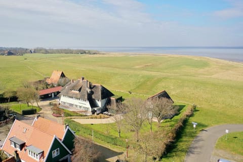 Natural landscape, Bird's eye view, Garden, Sea view