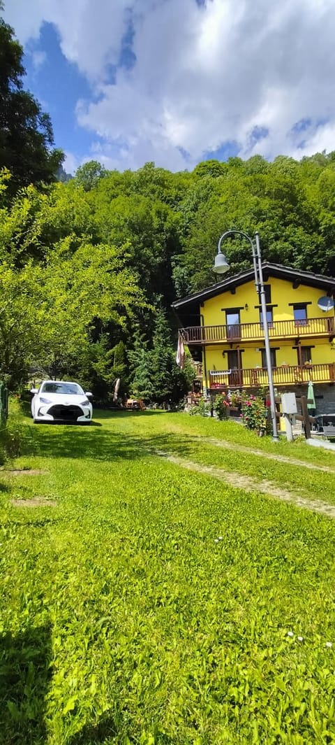 Garden view, Inner courtyard view